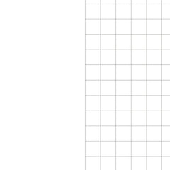 Alt. Blank and Squared - Stock